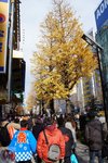 DSC04465