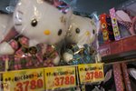 DSC04481