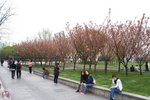 DSC08119