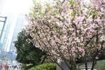 DSC08124