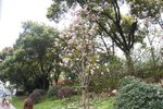 DSC08125