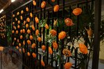 DSC00635
