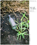 Agfa-011