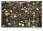 TO-042007-09