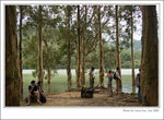 shingmun-08