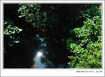 Green-62