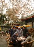 DSCF1834