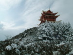 DSCF2310