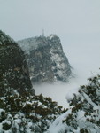 DSCF2319
