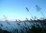 DSCF0316_resize
