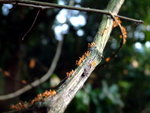 DSCF0096_resize