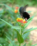DSCF0108_resize