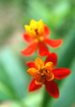 DSCF0120_resize