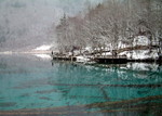 DSCF0677