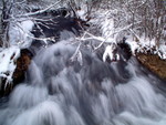 DSCF0721