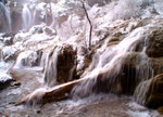 DSCF0809