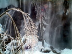 DSCF1076