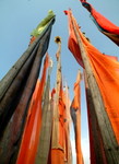 DSCF1347