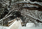 DSCF1477