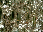 DSCF1486