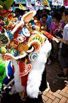 呢張好熱鬧