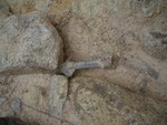 IMGP0694