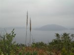 IMGP1538