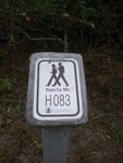 IMGP1562
