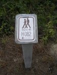 IMGP1563