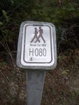 IMGP1565