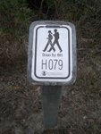 IMGP1566
