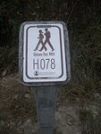 IMGP1567
