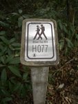 IMGP1568