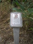IMGP1569