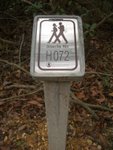 IMGP1574