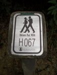 IMGP1579