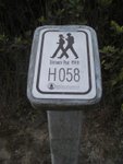 IMGP1611