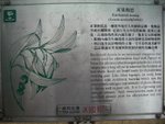 IMGP2168