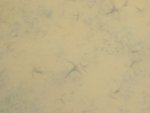 DSCF0872