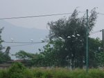 DSCF0874