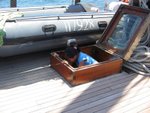 IMG_0523
