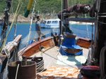 IMG_0540