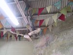 IMG_0727