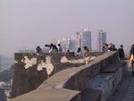 IMG_1252