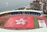 IMG_2584