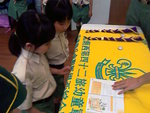 IMAGE_349