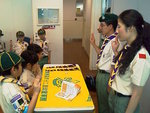 IMAGE_376