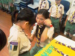 IMAGE_393