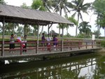 SANY0017