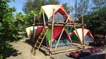 DSC03041